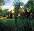 Sabi Sabi Private Game Reserve Bush Lodge